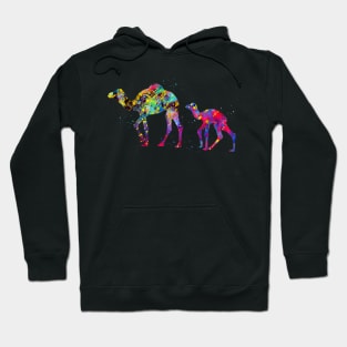 Dromedary Camels Hoodie